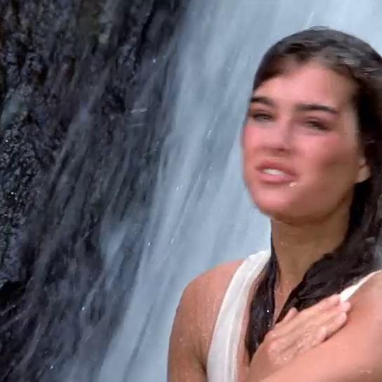 Brooke Shields Nude & Topless Pics And Sex Scenes Compilation
