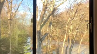 Ashley Tervort One-Piece Swimsuit Onlyfans Video Leaked