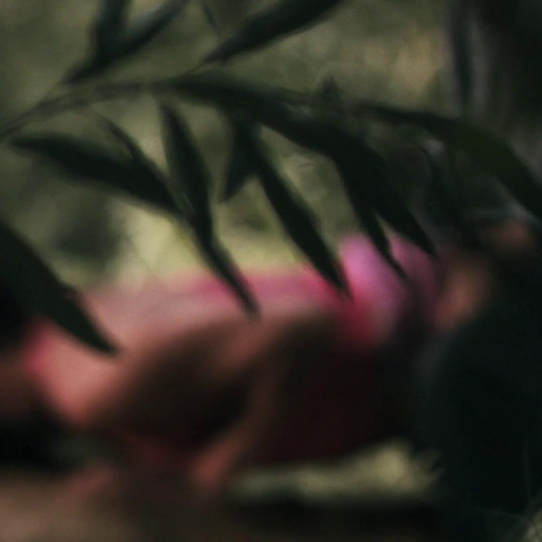 Danielle Harris Victim (2011) Sex Scene