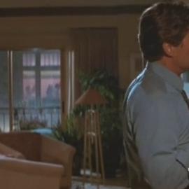Jeanne Tripplehorn Basic Instinct (1992) Sex Scene