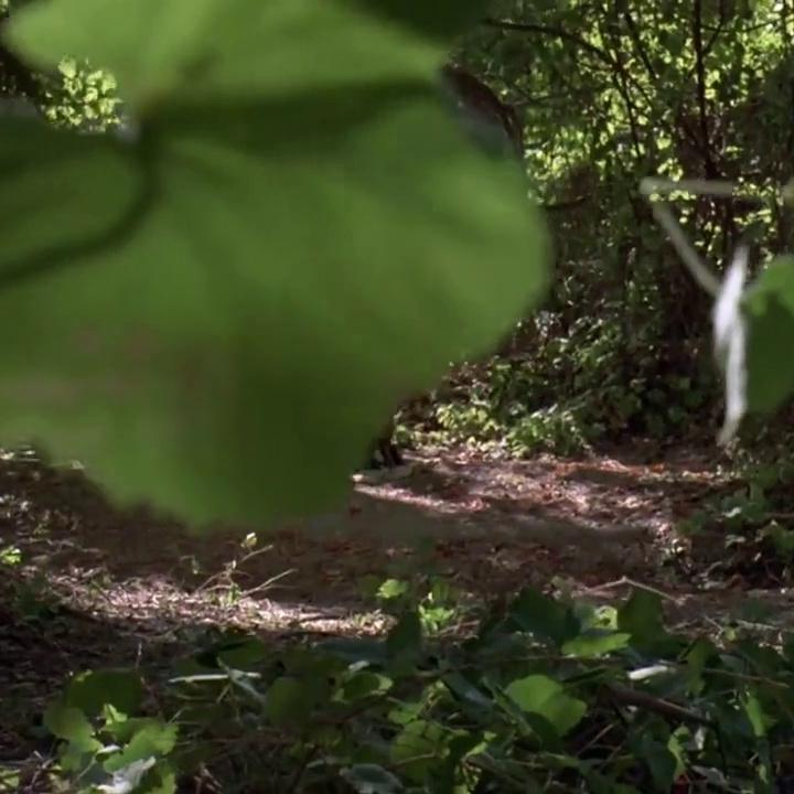 Debi Sue Voorhees Friday the 13th: A New Beginning Sex Scene