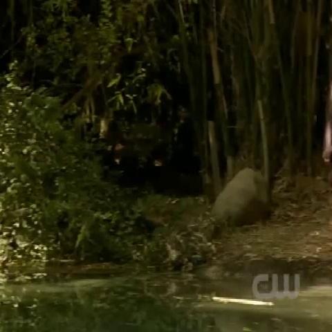 Rachel Bilson Hart Of Dixie Sex Scene