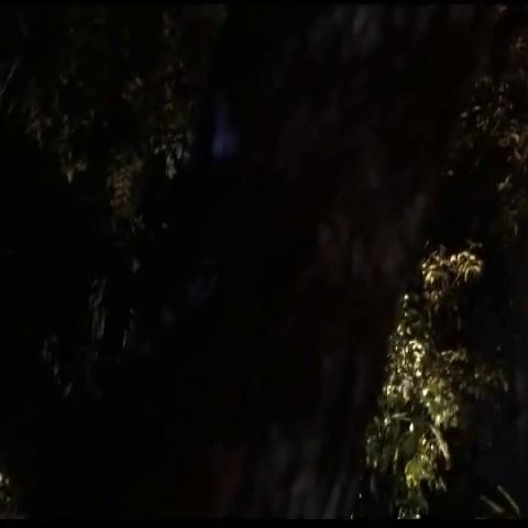 Virginia Madsen The Hot Spot Sex Scene