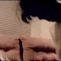 Halle Berry (HOT) Sex Scene