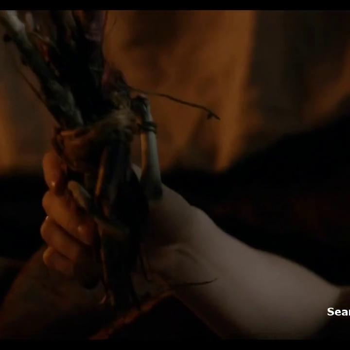 Caitriona Balfe Outlander (2015) S01e09 Sex Scene
