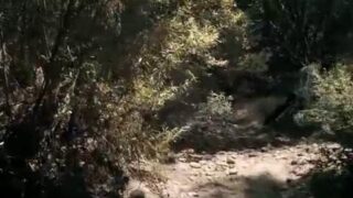 Danielle Harris Nude Sex Scene In The Victim FREE