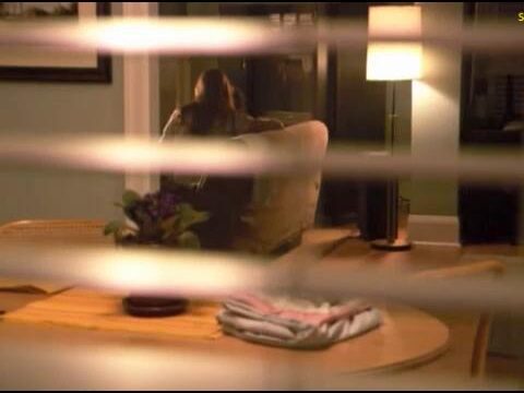 Lauren Lee Smith Lesbo Sex Scene In The L Word FREE VIDEO