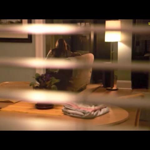Lauren Lee Smith Lesbo Sex Scene In The L Word FREE VIDEO